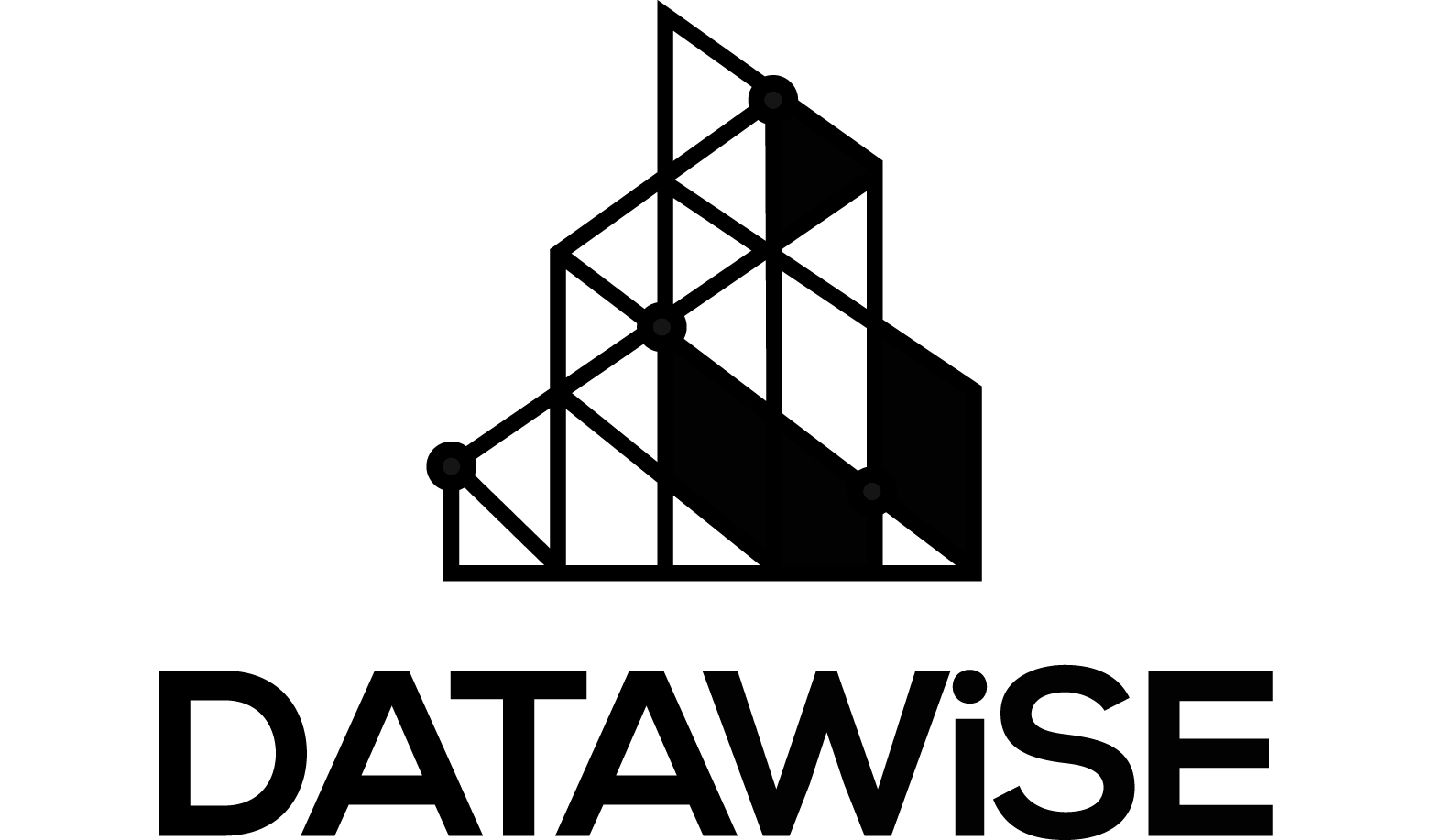 DATAWiSE logo